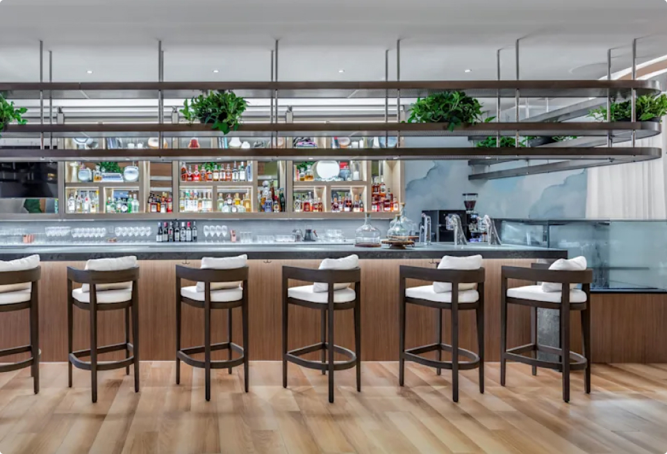 The bar at Barto bar. Bottles on the back shelves surrounded by dark wood stools and plant holders against cloudy blue walls