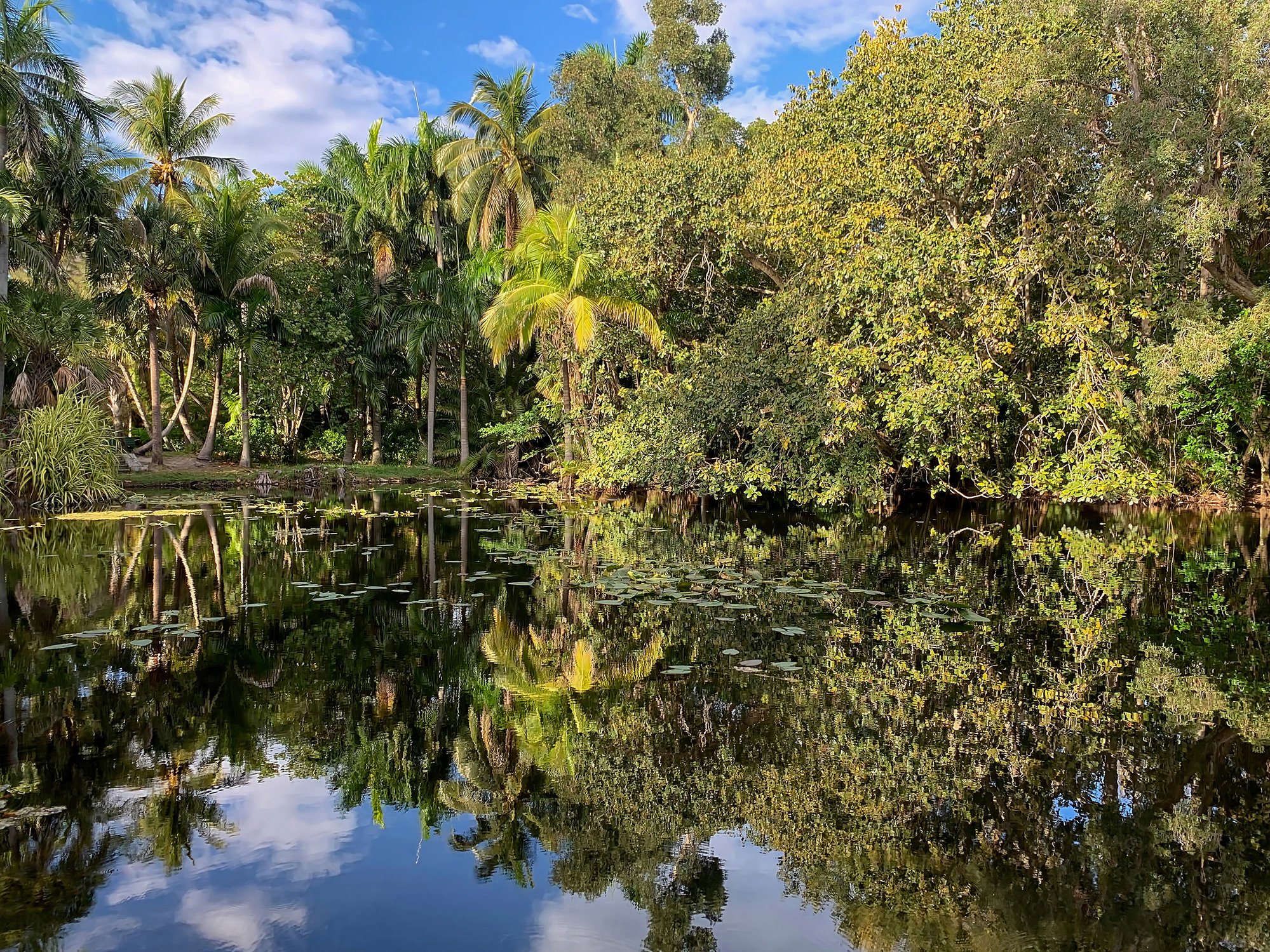 Scenic landscape of old South Florida, Gardens on Fort Lauderdale Beach, Florida, USA.