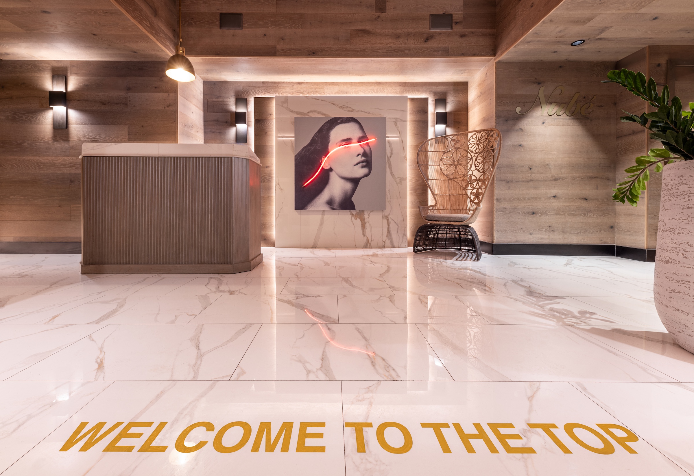 An entryway featuring a modern painting of a woman with a red beam of light across her eyes, and the words 